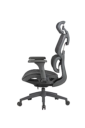 OFFICE FACTOR Ergonomic Office/Home/Desk Chair- Adjustable Height, High Back, Comfortable Breathable Mesh, Tilt Lock Function, Lumbar Support, Swivel Computer Task Chair