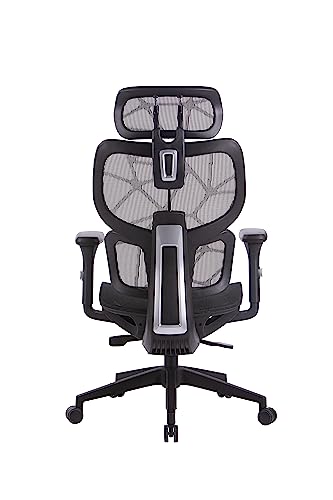 OFFICE FACTOR Ergonomic Office/Home/Desk Chair- Adjustable Height, High Back, Comfortable Breathable Mesh, Tilt Lock Function, Lumbar Support, Swivel Computer Task Chair