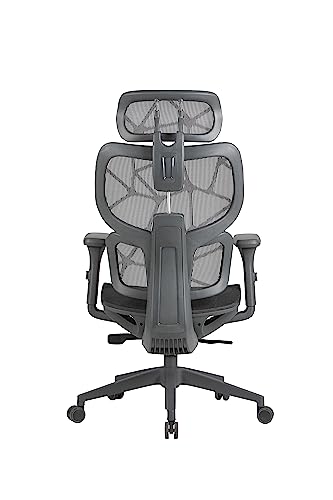 OFFICE FACTOR Ergonomic Office/Home/Desk Chair- Adjustable Height, High Back, Comfortable Breathable Mesh, Tilt Lock Function, Lumbar Support, Swivel Computer Task Chair
